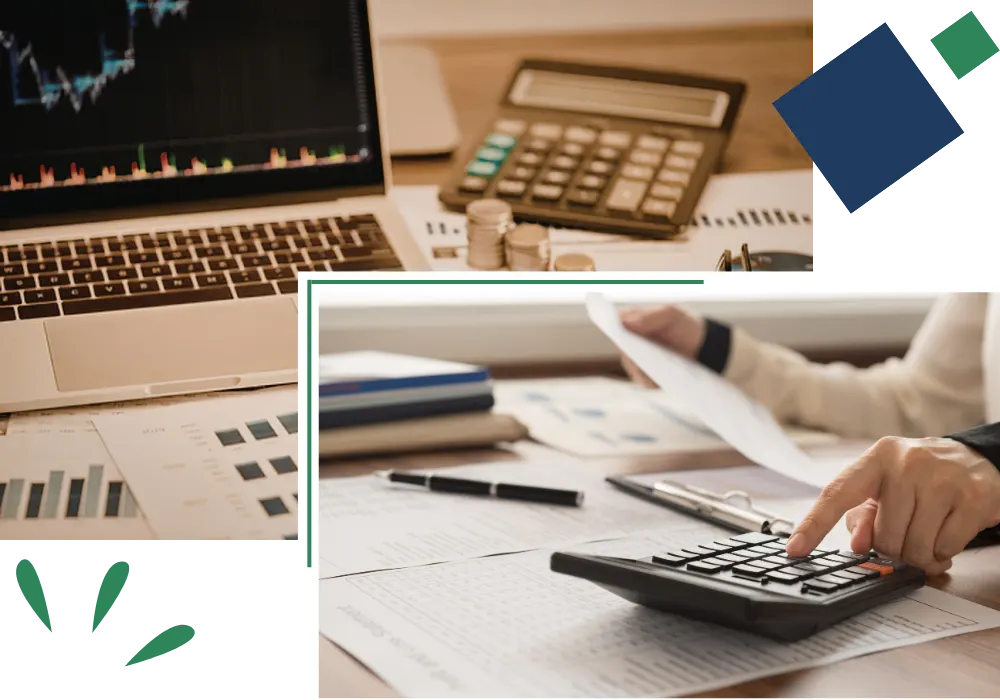 Reviewing financial records and correcting bookkeeping data