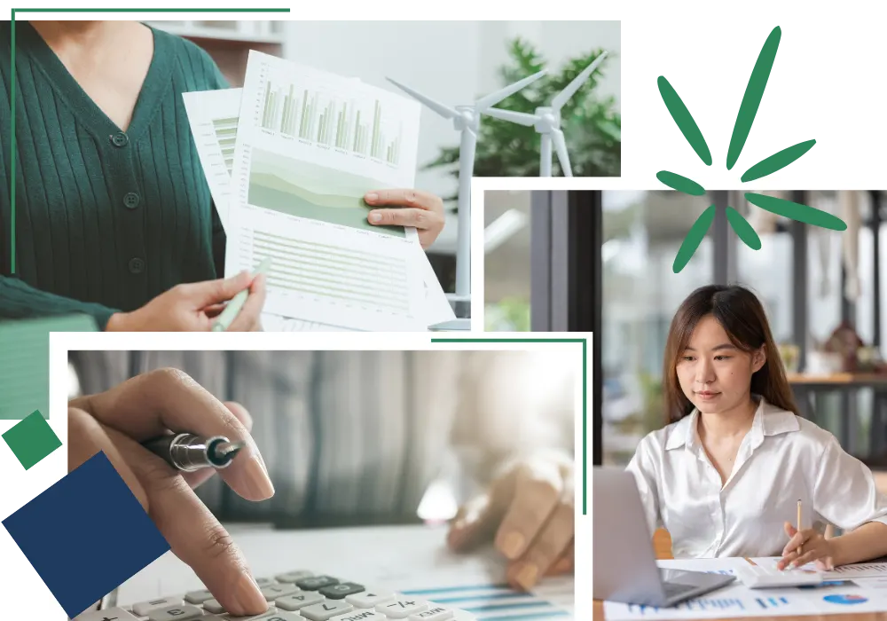 Reviewing financial reports and working on bookkeeping data